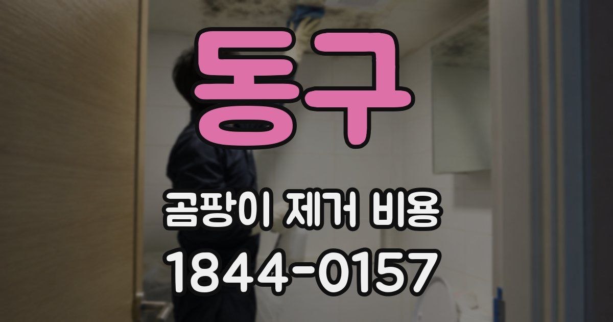 동구 곰팡이 제거 비용