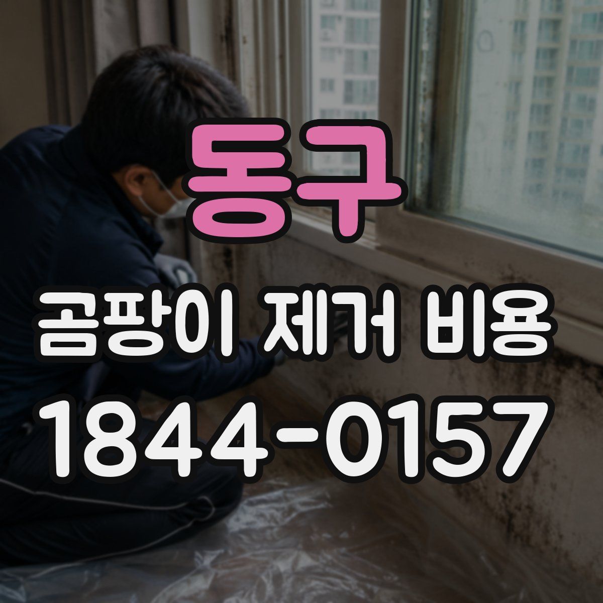 동구 곰팡이 제거 비용