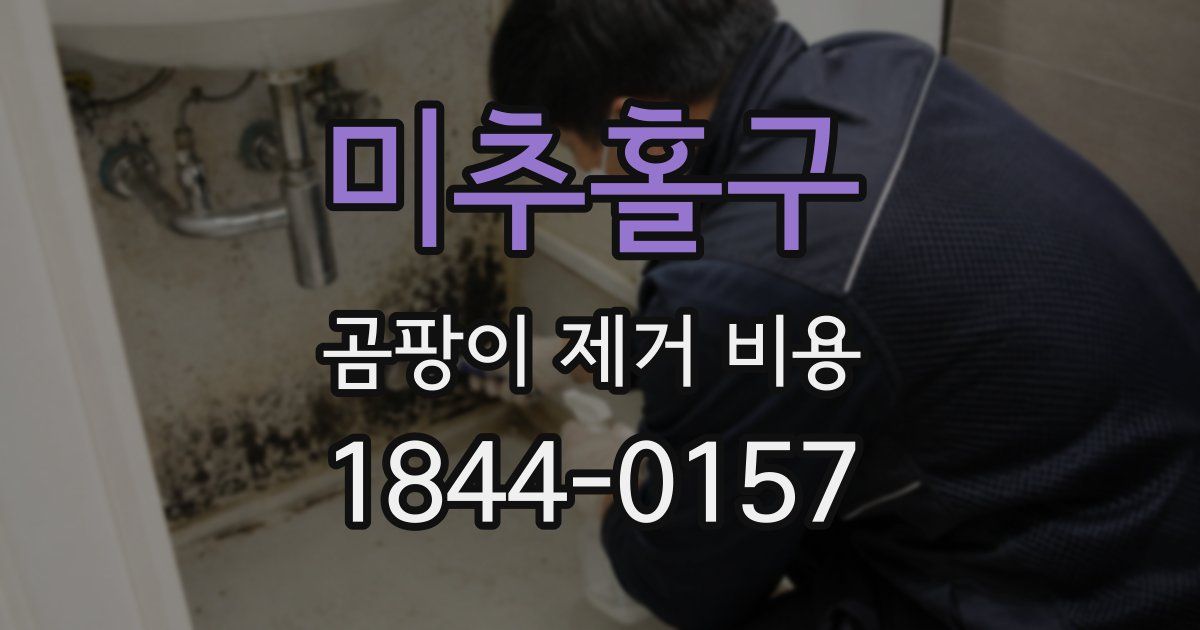미추홀구 곰팡이 제거 비용