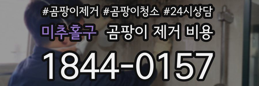 미추홀구 곰팡이 제거 비용