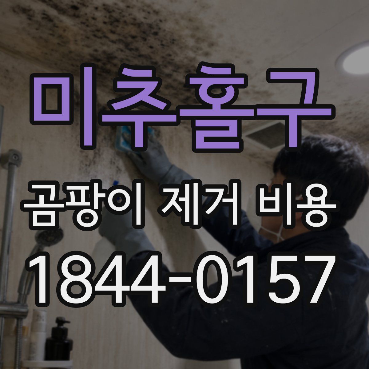 미추홀구 곰팡이 제거 비용