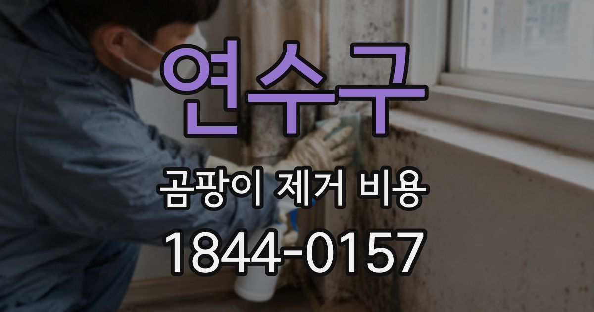 연수구 곰팡이 제거 비용