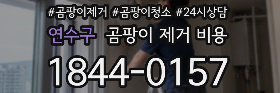 연수구 곰팡이 제거 비용