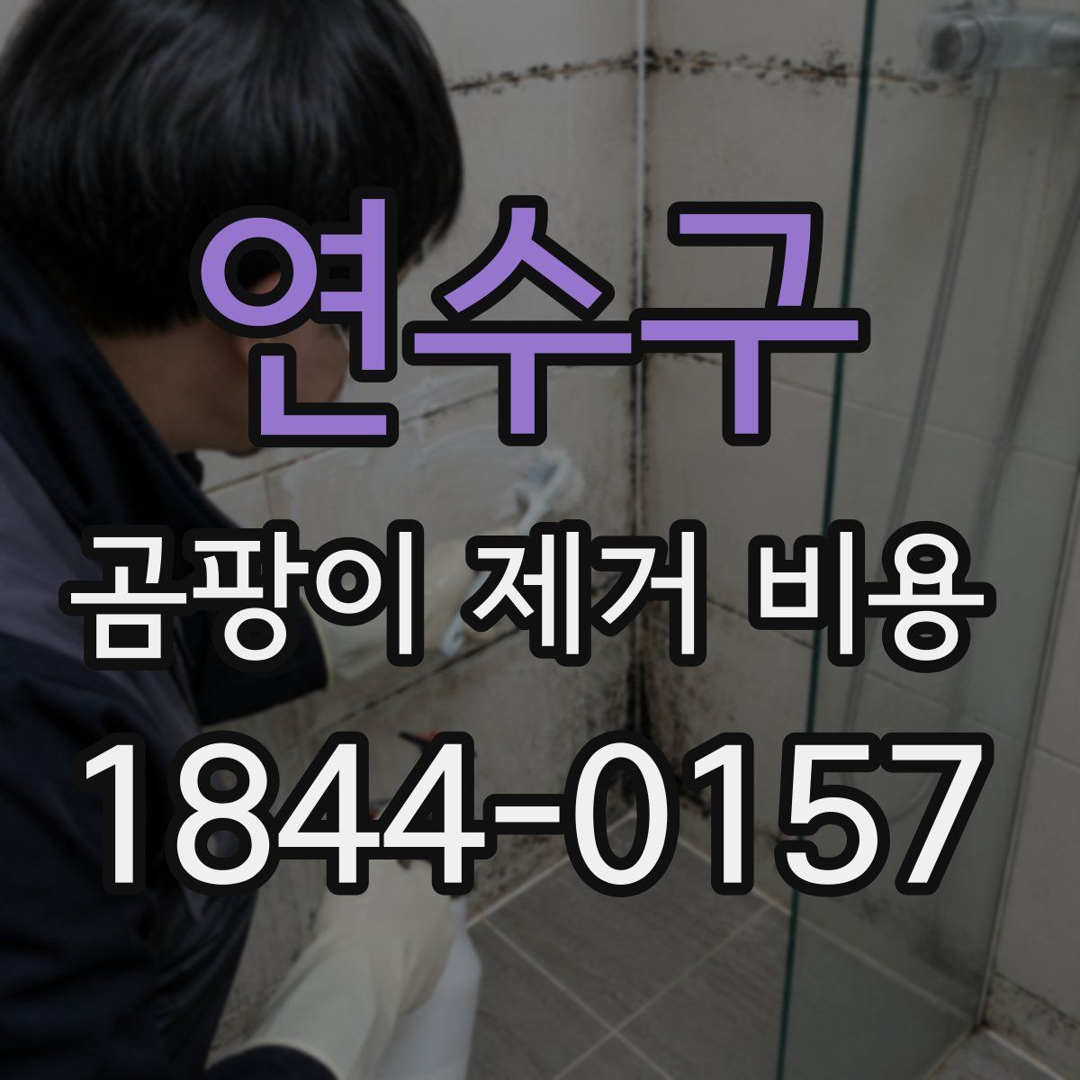 연수구 곰팡이 제거 비용