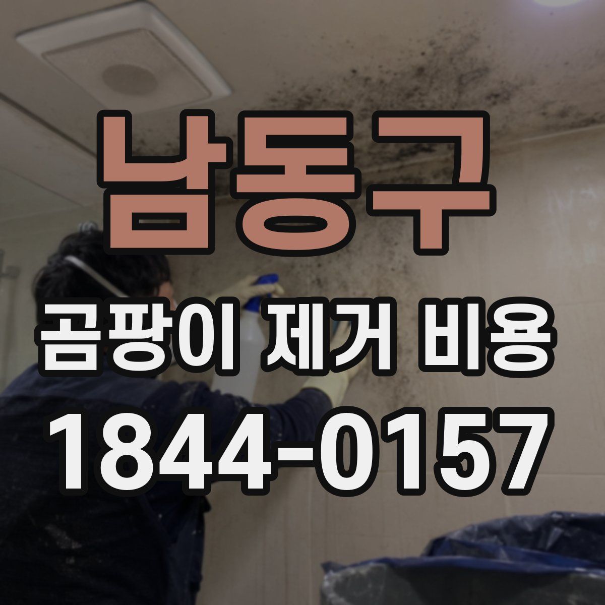 남동구 곰팡이 제거 비용