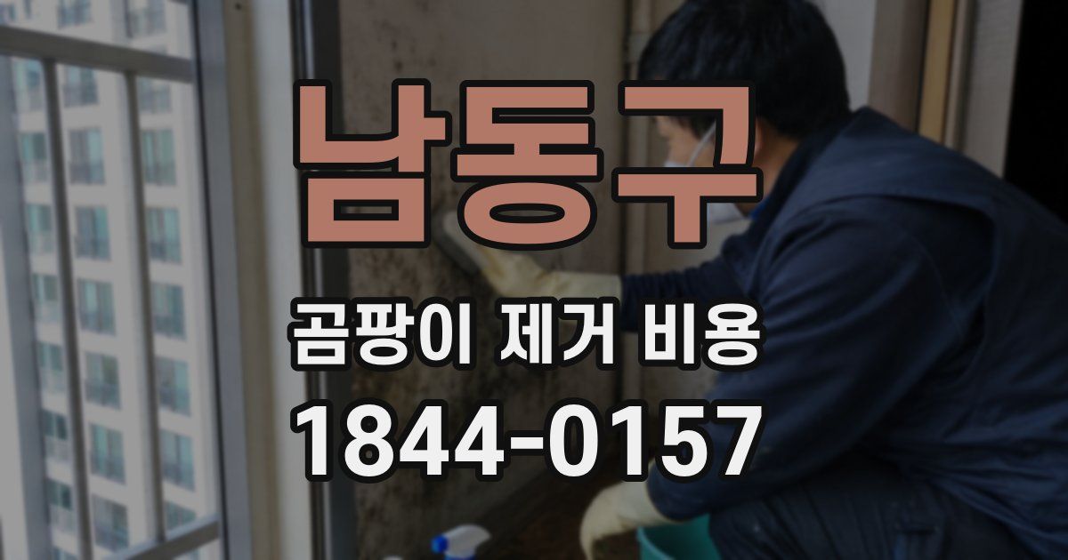 남동구 곰팡이 제거 비용
