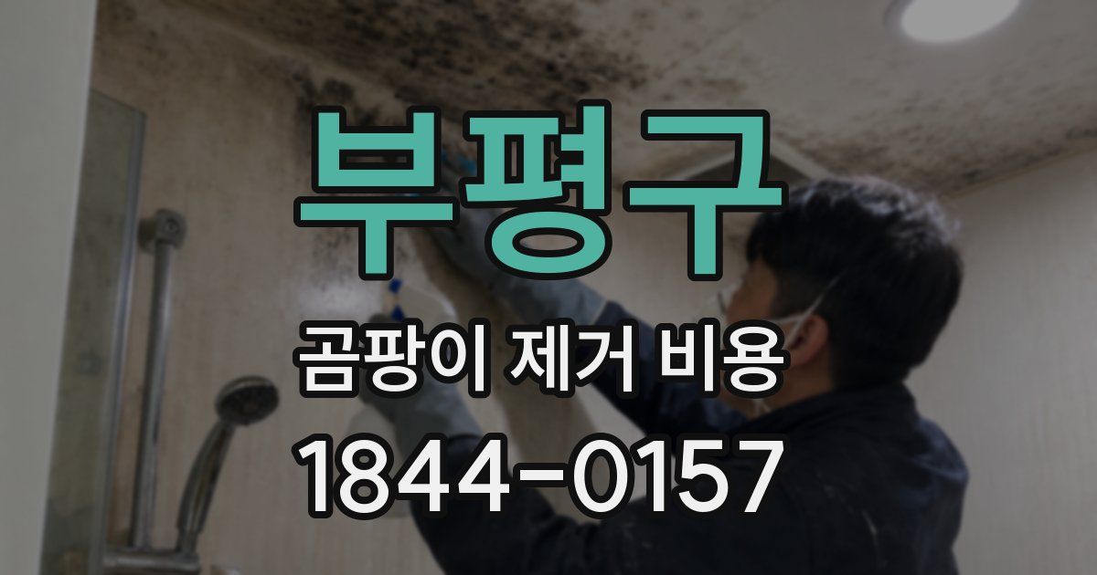 부평구 곰팡이 제거 비용