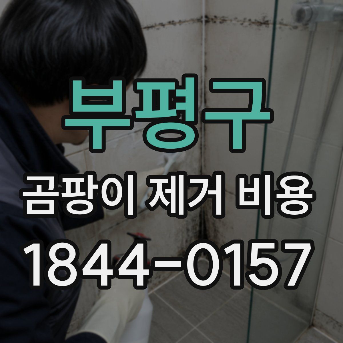 부평구 곰팡이 제거 비용