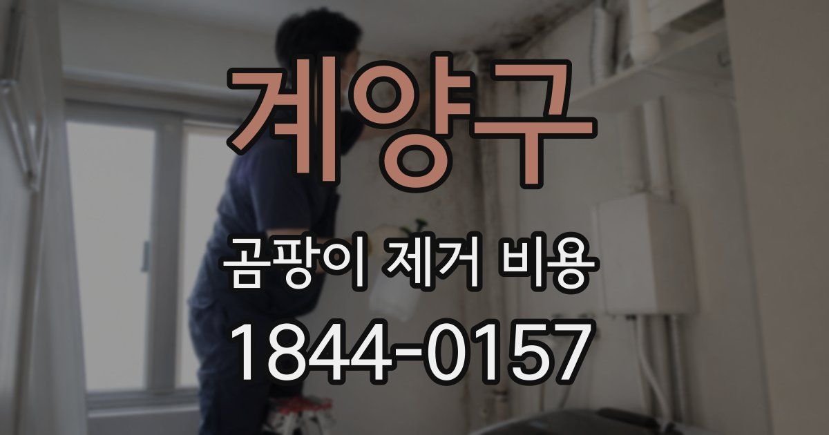 계양구 곰팡이 제거 비용