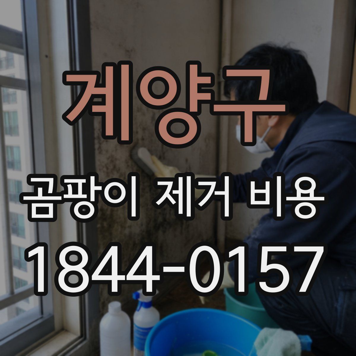 계양구 곰팡이 제거 비용