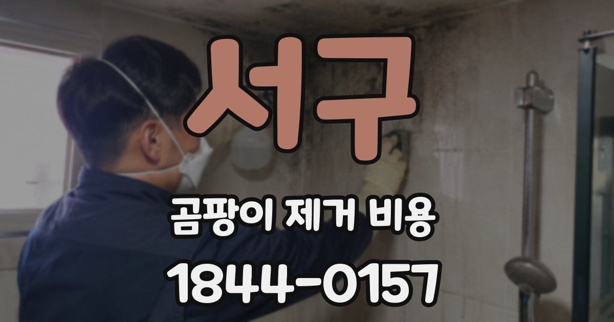 서구 곰팡이 제거 비용