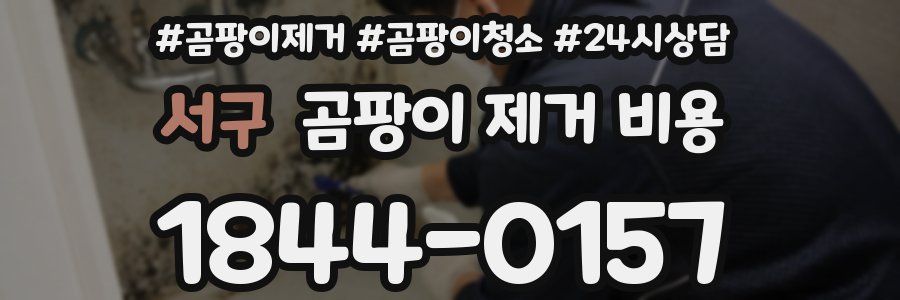 서구 곰팡이 제거 비용