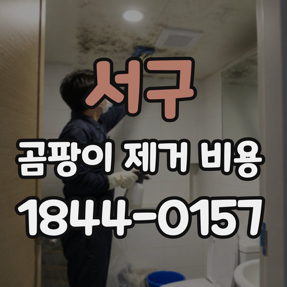 서구 곰팡이 제거 비용