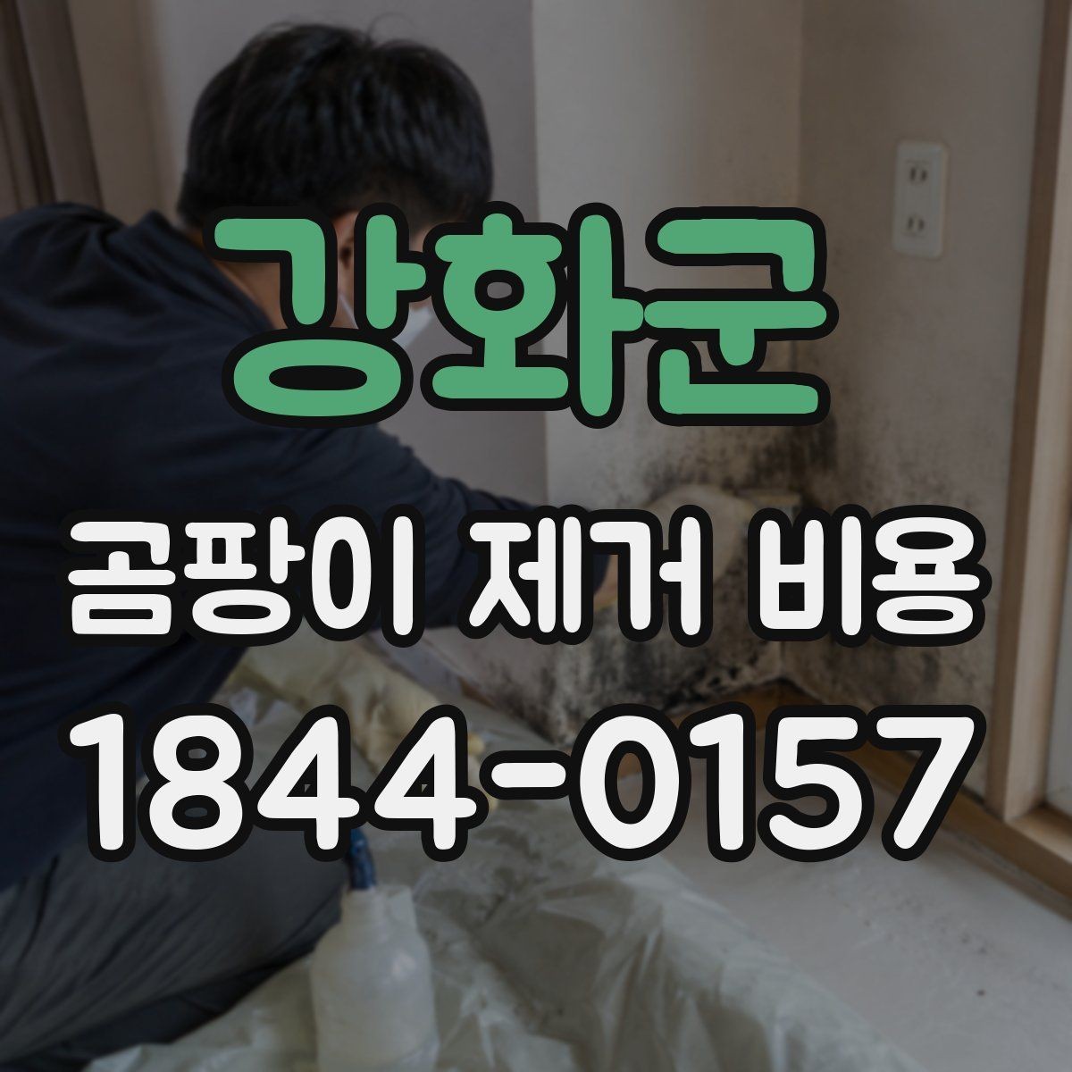 강화군 곰팡이 제거 비용 견적받기 전 체크해야 할 누수와 결로 차이