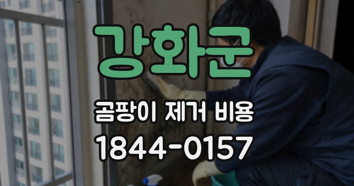 강화군 곰팡이 제거 비용