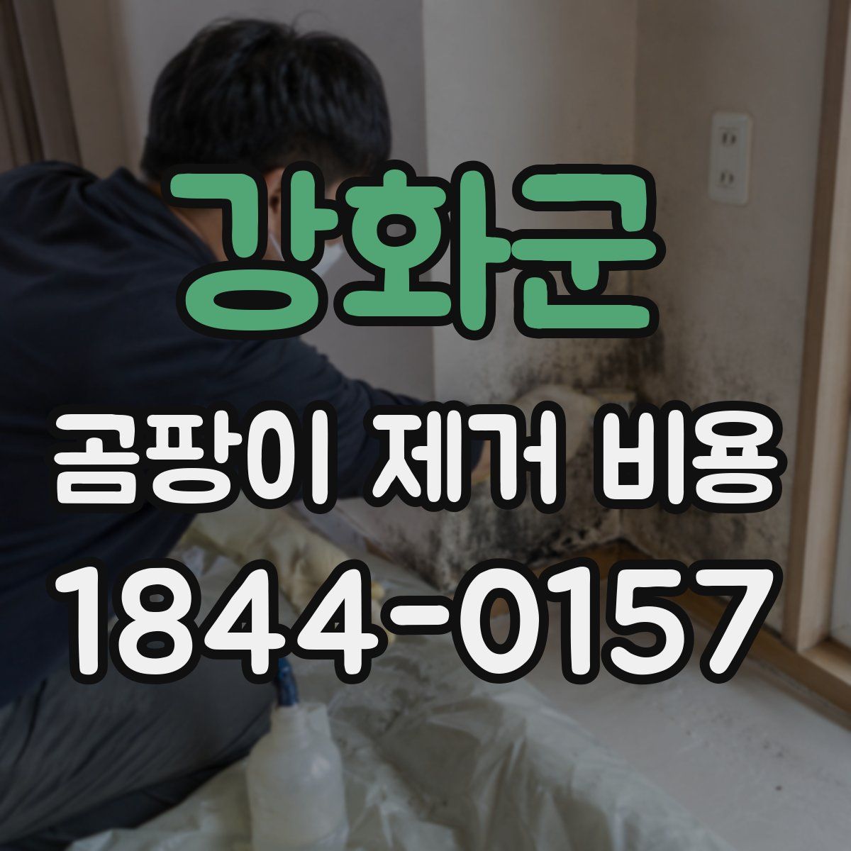 강화군 곰팡이 제거 비용