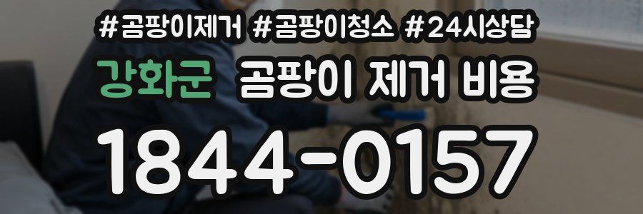 강화군 곰팡이 제거 비용