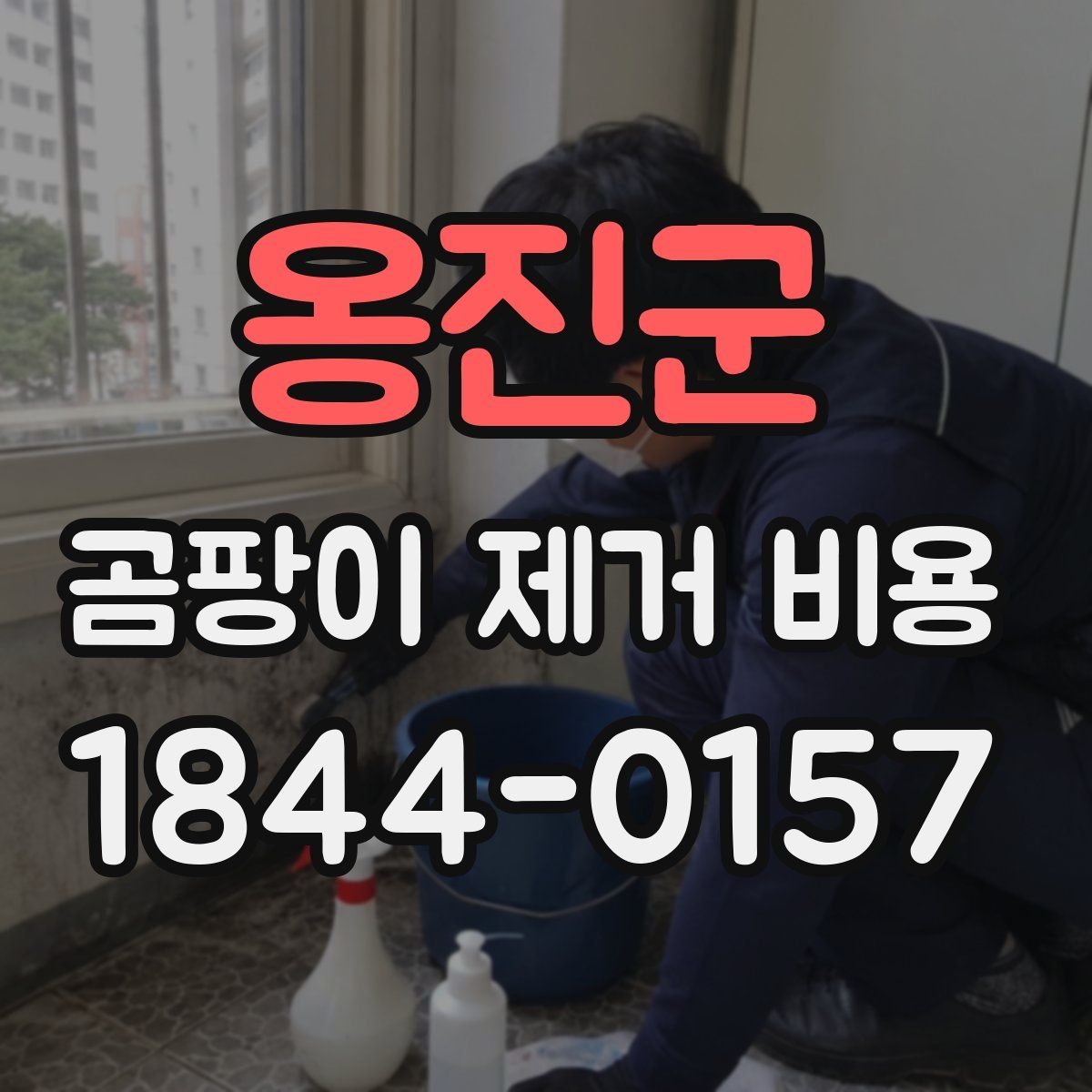 옹진군 곰팡이 제거 비용