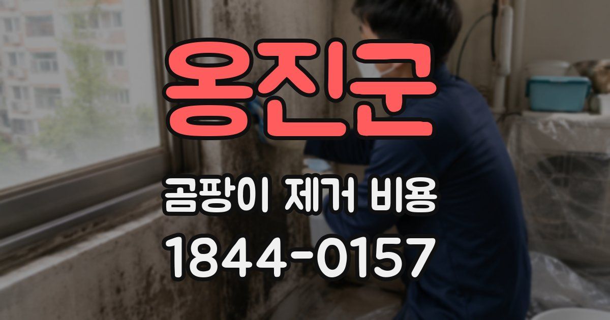 옹진군 곰팡이 제거 비용