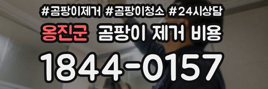옹진군 곰팡이 제거 비용