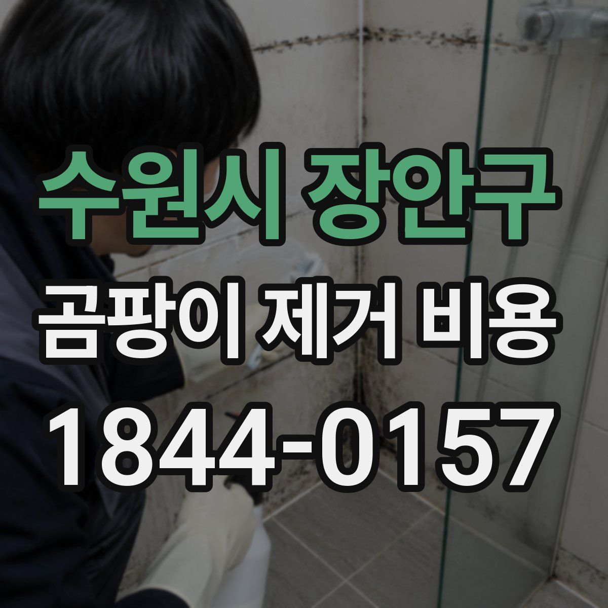 수원시 장안구 곰팡이 제거 비용