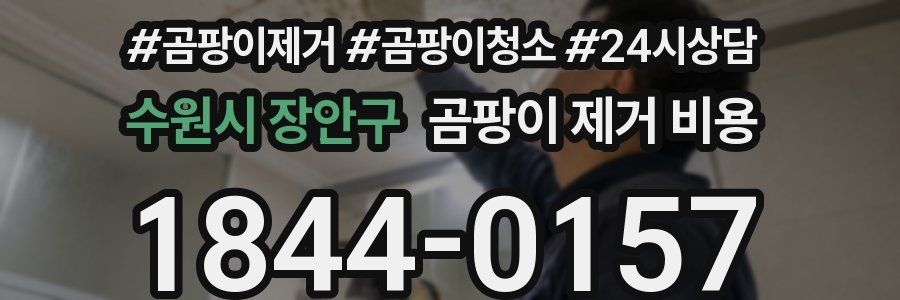 수원시 장안구 곰팡이 제거 비용