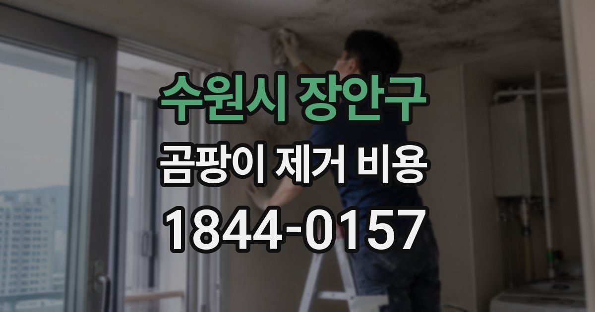 수원시 장안구 곰팡이 제거 비용