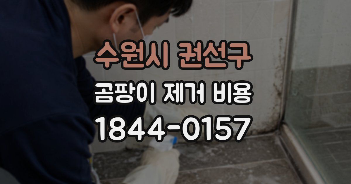 수원시 권선구 곰팡이 제거 비용