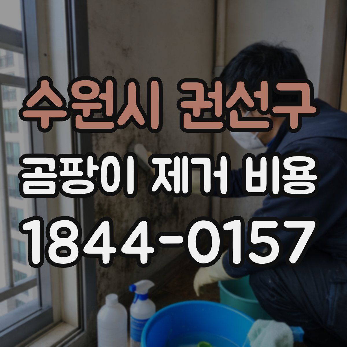수원시 권선구 곰팡이 제거 비용