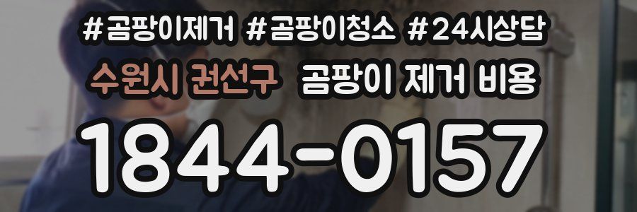 수원시 권선구 곰팡이 제거 비용