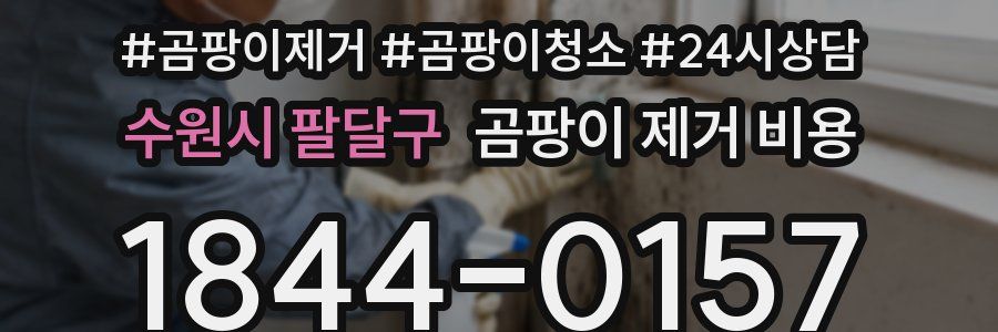 수원시 팔달구 곰팡이 제거 비용