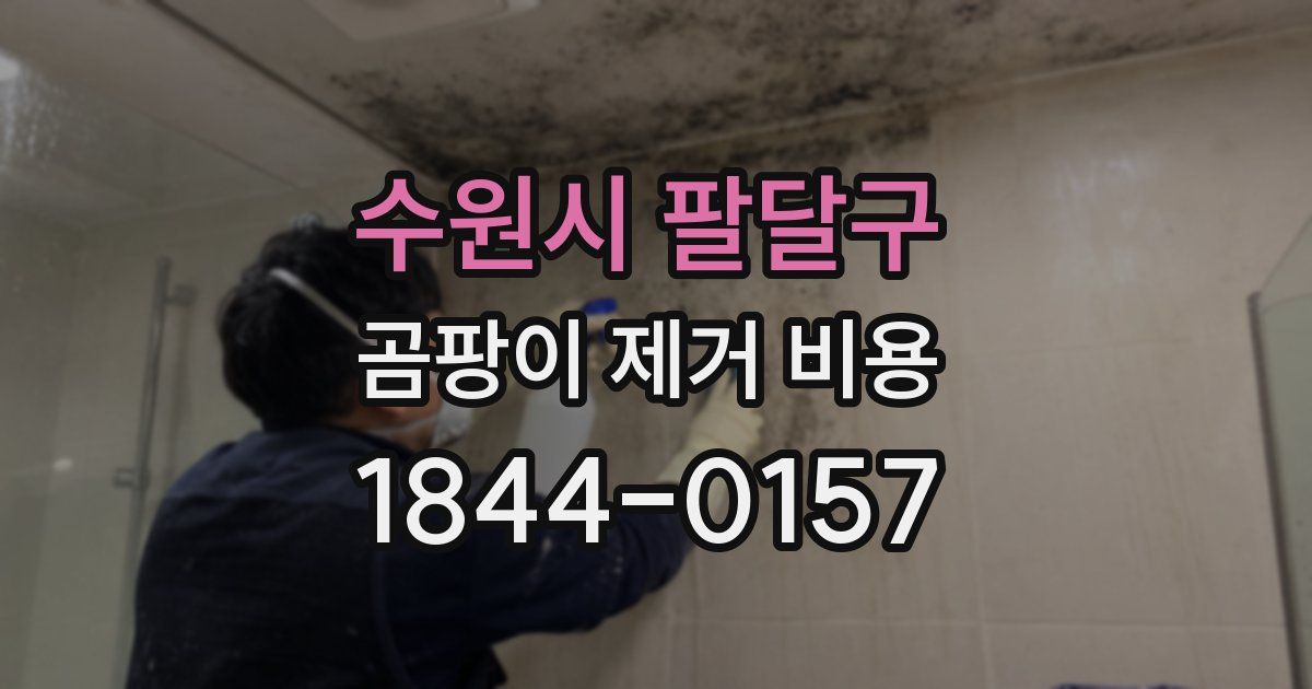 수원시 팔달구 곰팡이 제거 비용