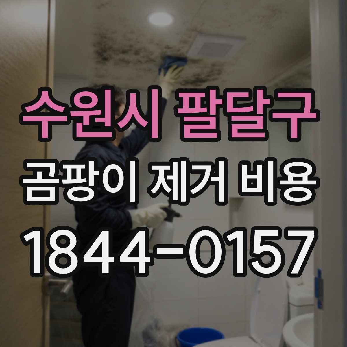 수원시 팔달구 곰팡이 제거 비용