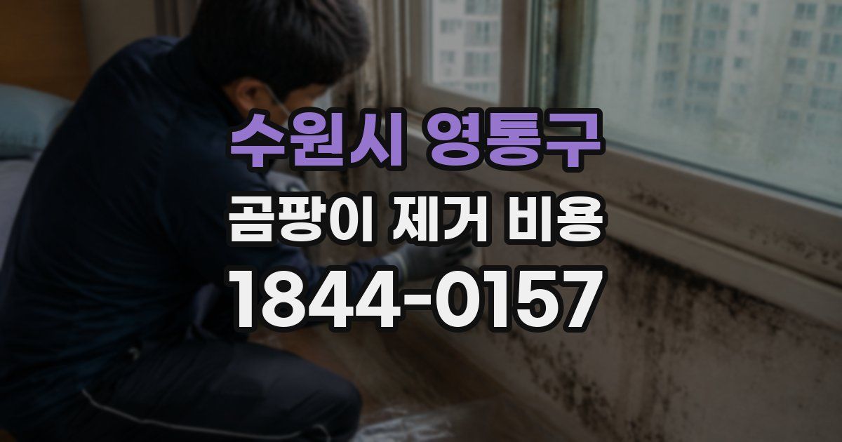 수원시 영통구 곰팡이 제거 비용