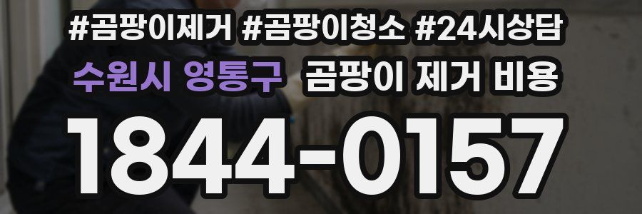 수원시 영통구 곰팡이 제거 비용
