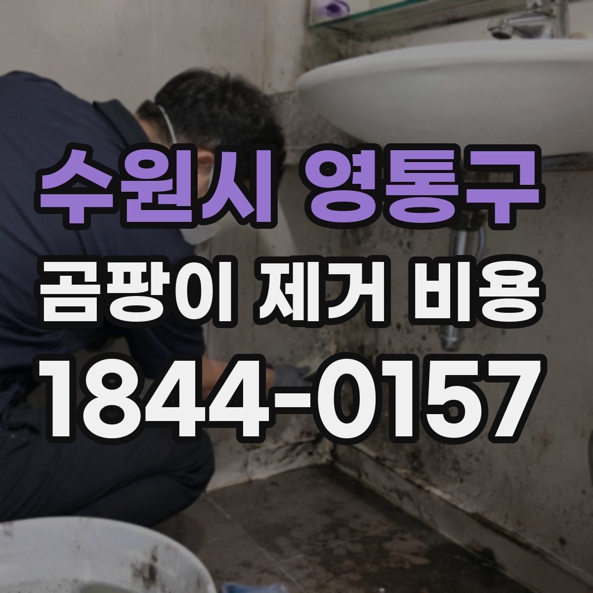 수원시 영통구 곰팡이 제거 비용