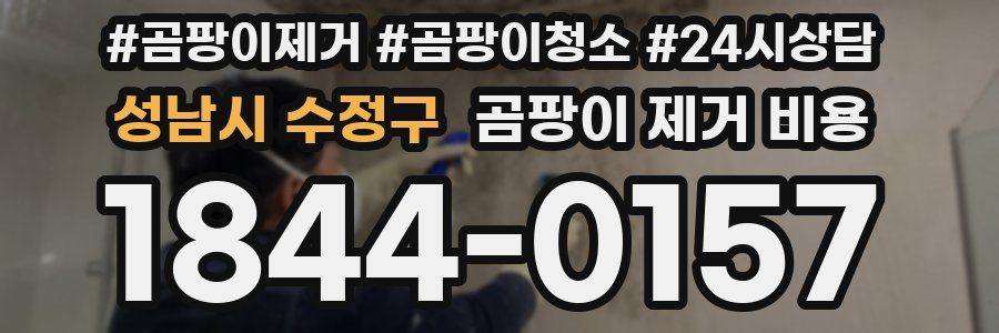 성남시 수정구 곰팡이 제거 비용