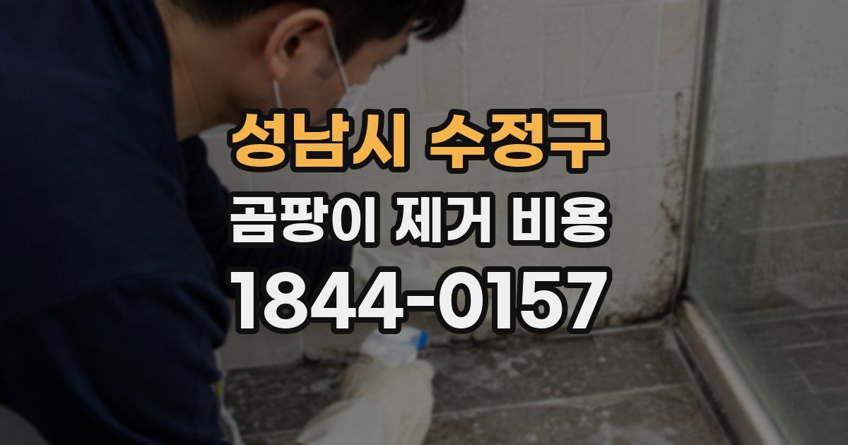성남시 수정구 곰팡이 제거 비용