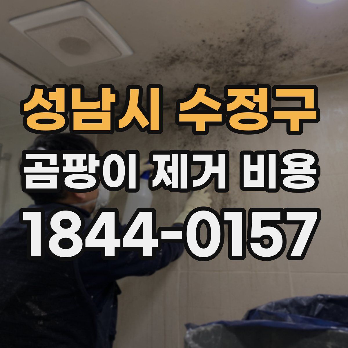 성남시 수정구 곰팡이 제거 비용
