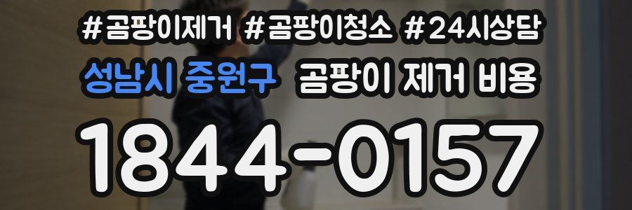 성남시 중원구 곰팡이 제거 비용