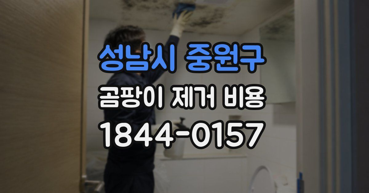 성남시 중원구 곰팡이 제거 비용