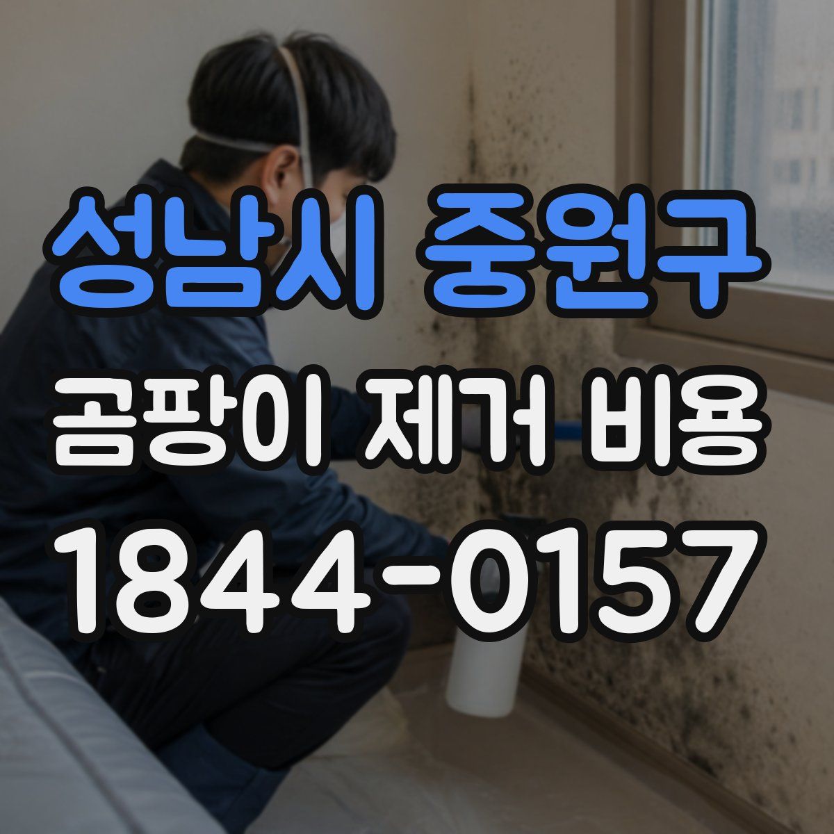 성남시 중원구 곰팡이 제거 비용