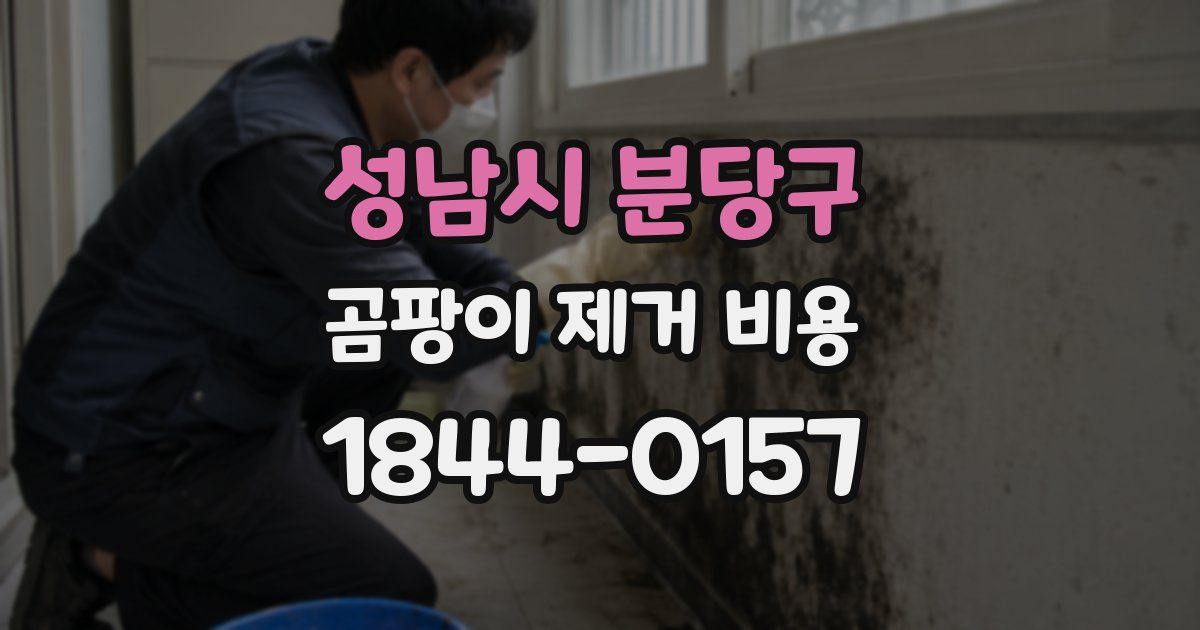 성남시 분당구 곰팡이 제거 비용
