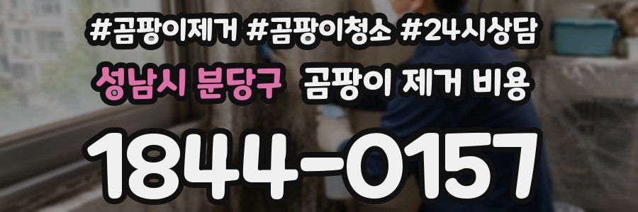 성남시 분당구 곰팡이 제거 비용