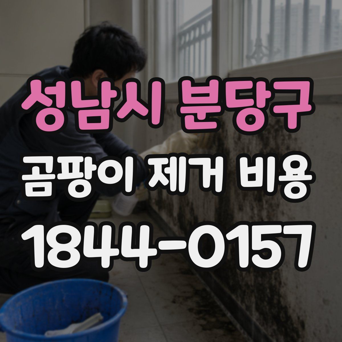 성남시 분당구 곰팡이 제거 비용