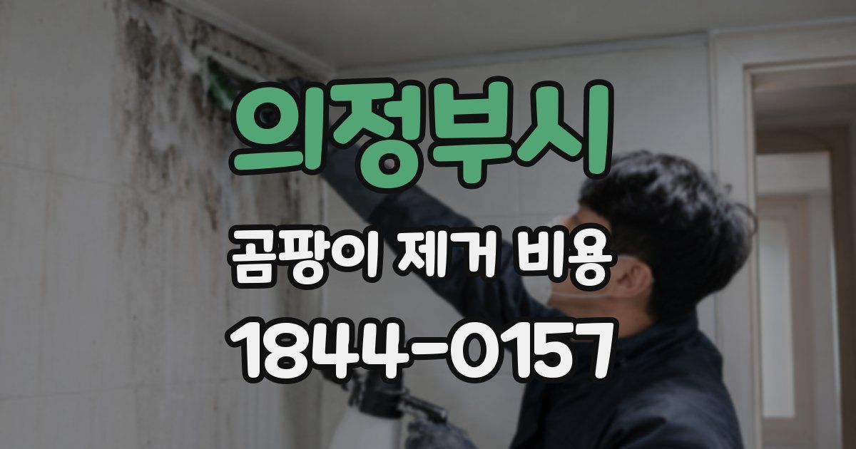 의정부시 곰팡이 제거 비용