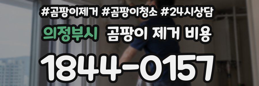 의정부시 곰팡이 제거 비용