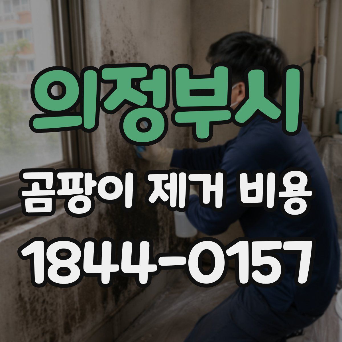 의정부시 곰팡이 제거 비용