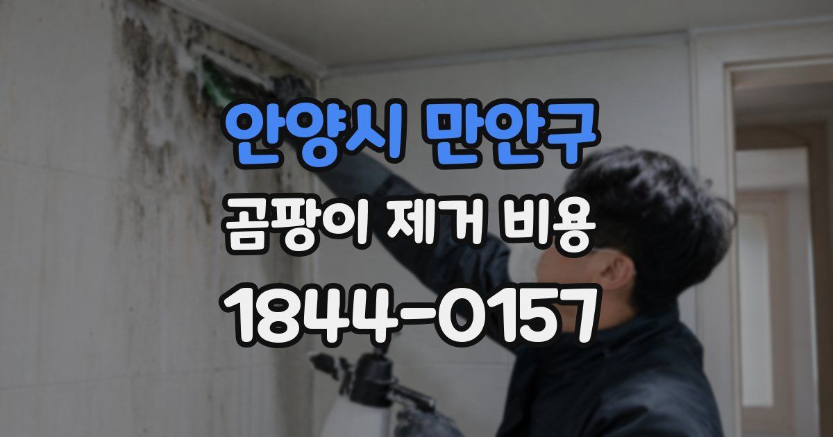 안양시 만안구 곰팡이 제거 비용