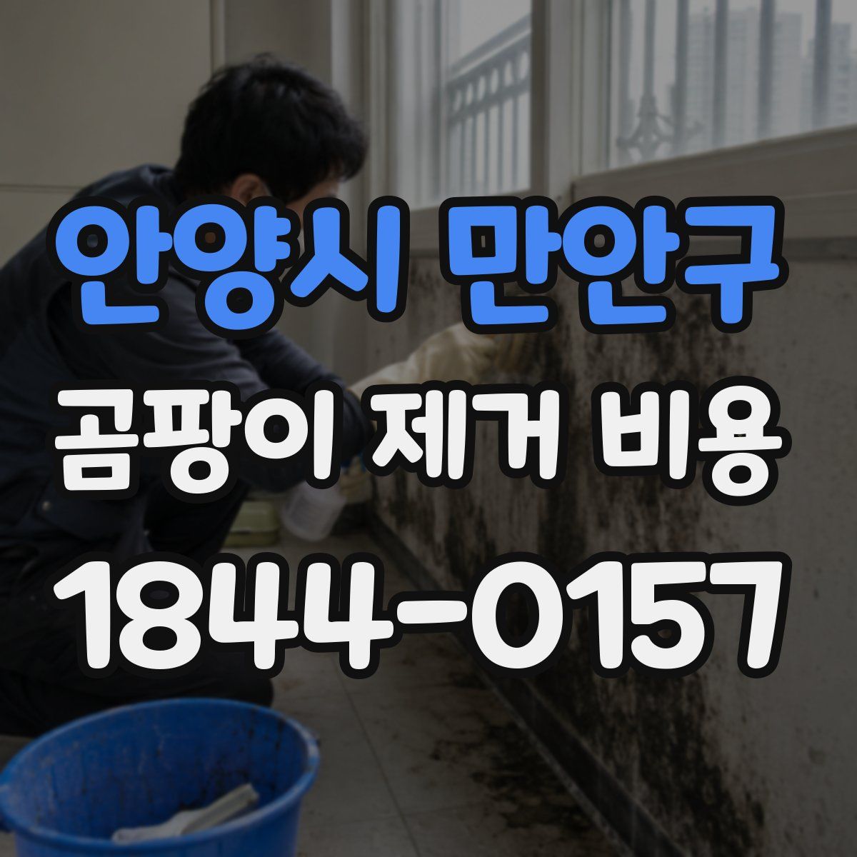 안양시 만안구 곰팡이 제거 비용
